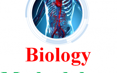 Biology Teaching Methodology